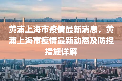 黃浦上海市疫情最新消息，黃浦上海市疫情最新動態(tài)及防控措施詳解