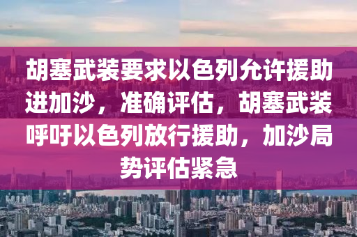 胡塞武裝要求以色列允許援助進加沙，準確評估，胡塞武裝呼吁以色列放行援助，加沙局勢評估緊急