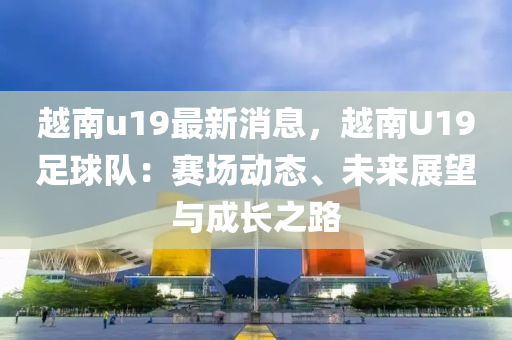 越南u19最新消息，越南U19足球隊：賽場動態(tài)、未來展望與成長之路液壓動力機械,元件制造