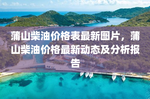 蒲山柴油價格表最新圖片，蒲山柴油價格最新動態(tài)及分析報告