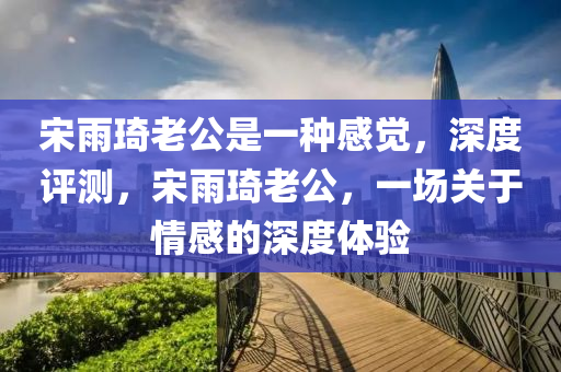 宋雨琦老公是一種感覺，深度評測，宋雨琦老公，一場關于情感的深度體驗