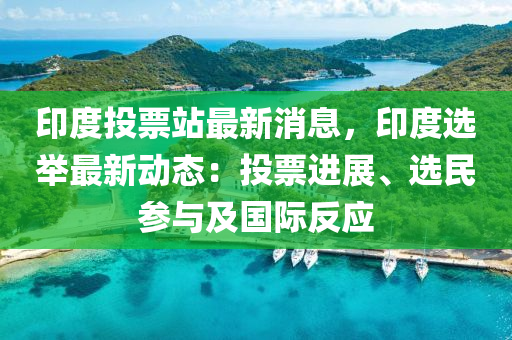 印度投票站最新消息，印度選舉最新動態(tài)：投票進(jìn)展、選民參與及國際反應(yīng)