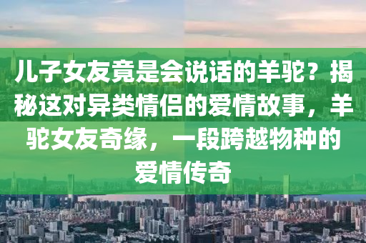 兒子女友竟是會(huì)說話的羊駝？揭秘這對異類情侶的愛情故事，羊駝女友奇緣，一段跨越物種的愛情傳奇液壓動(dòng)力機(jī)械,元件制造