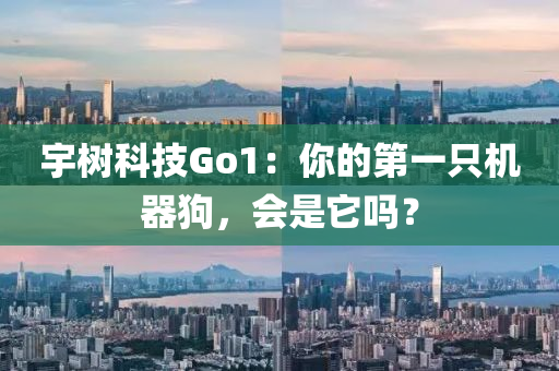 宇樹科技Go1：你的第一只機器狗，會是它嗎？液壓動力機械,元件制造