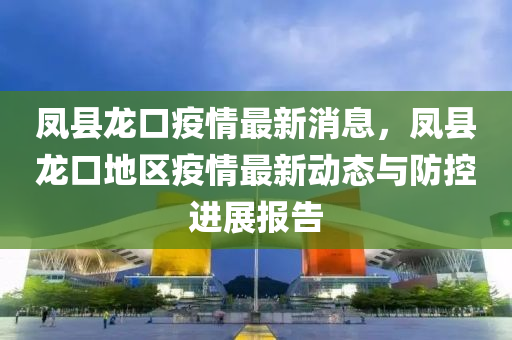 液壓動力機械,元件制造鳳縣龍口疫情最新消息，鳳縣龍口地區(qū)疫情最新動態(tài)與防控進展報告