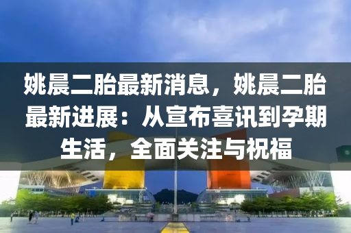 姚晨二胎最新消息，姚晨二胎最新進展：從宣布喜訊到孕期生活，全面關注與祝福液壓動力機械,元件制造