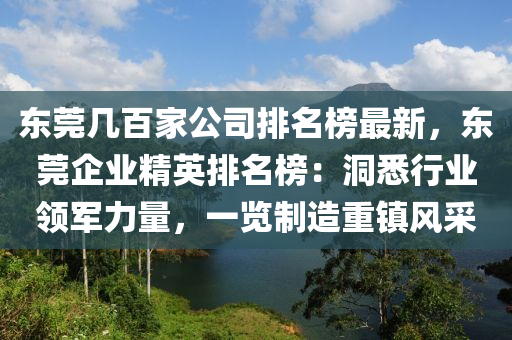 東莞幾百家公司排名榜最新，東莞企業(yè)精英排名榜：洞悉行業(yè)領(lǐng)軍力量，一覽制造重鎮(zhèn)風(fēng)采