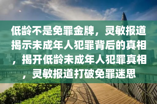 低齡不是免罪金牌，靈敏報(bào)道揭示未成年人犯罪背后的真相，揭開低齡未成年人犯罪真相，靈敏報(bào)道打破免罪迷思