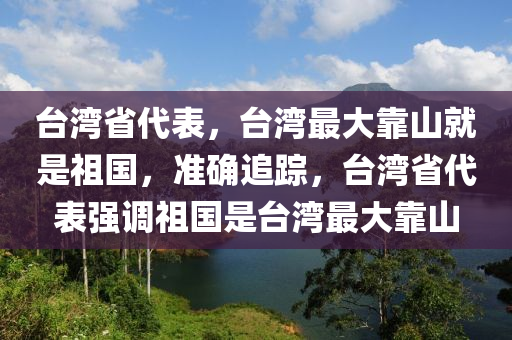 臺灣省代表，臺灣最大靠山就是祖國，準(zhǔn)確追蹤，臺灣省代表強調(diào)祖國是臺灣最大靠山液壓動力機械,元件制造