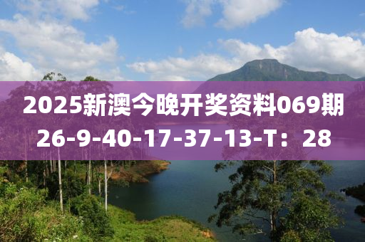 2025新澳今晚開獎(jiǎng)資料069期26-9-40-17-37-13-T：28