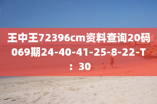 王中王72396cm資料查詢20碼069期24-40-41-25-8-22-T：30