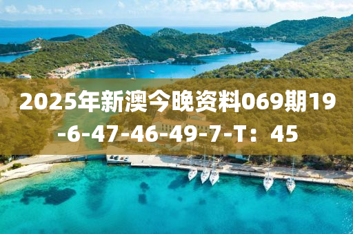 2025年新澳今晚資料069期19-6-47-46-49-7-T：45液壓動力機械,元件制造