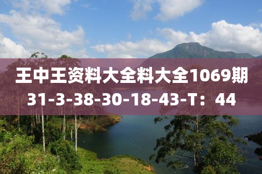 王中王資料大全料大全1069期31-3-38-30-18-43-T：44