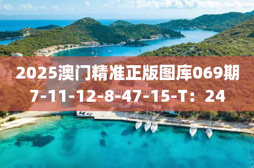 2025澳門精準正版圖庫06液壓動力機械,元件制造9期7-11-12-8-47-15-T：24