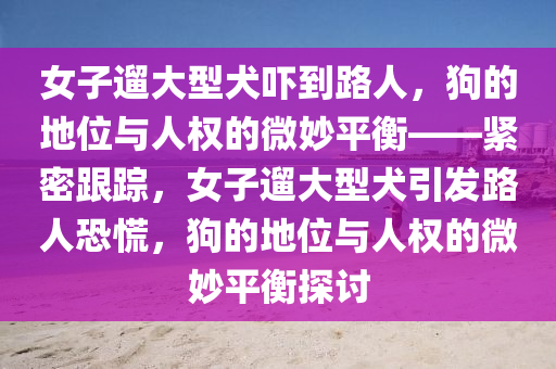 女子遛大型犬嚇到路人，狗的地位與人權(quán)的微妙平衡——緊密跟蹤，女子遛大型犬引發(fā)路人恐慌，狗的地位與人權(quán)的微妙平衡探討