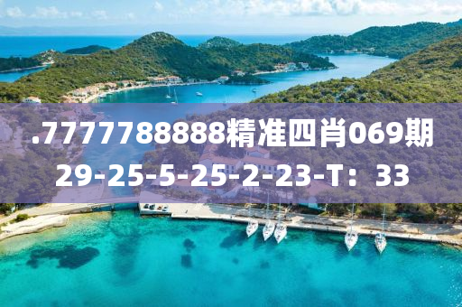 .7777788888精準四肖069期29-25-5-25-2-23-T：33