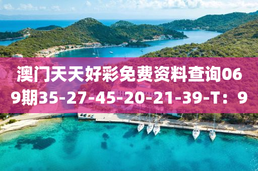 澳門天天好彩免費資料查詢069期35-27-45-20-21-39-T：9