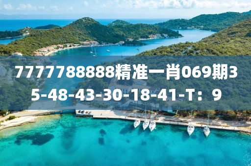 7777788888精準(zhǔn)一肖069期35-48-43-30-18-41-T：9