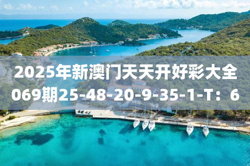 2025年新澳液壓動力機械,元件制造門天天開好彩大全069期25-48-20-9-35-1-T：6