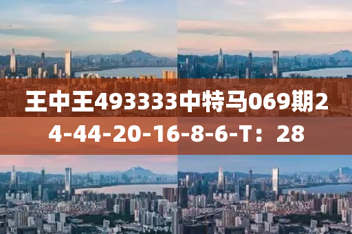 王中王493333中特馬069期24-44-20-16-8-6液壓動力機械,元件制造-T：28