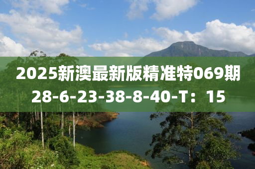 2025新澳最新版精準特069期28-6-23-38-8-40-T：15