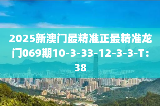 2025新澳門最精準正最精準龍門069期10-3-33-12-3-3-T：38