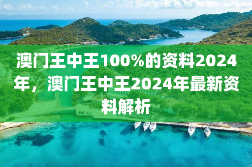 澳門王中王100%的資料2024年，澳門王中王2024年最新資料解析液壓動力機械,元件制造