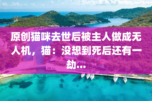 原創(chuàng)貓咪去世后被主人做成無人機，貓：沒想到死后還有一劫...