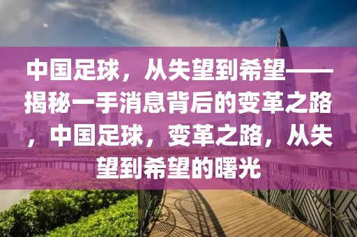 中國(guó)足球，從失望到希望——揭秘一手消息背后的變革之路，中國(guó)足球，變革之路，從失望到希望的曙光液壓動(dòng)力機(jī)械,元件制造