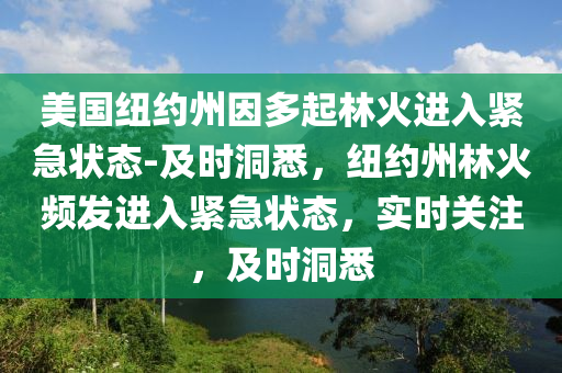 美國紐約州因多起林火進入緊急狀態(tài)-及時洞悉，紐約州林火頻發(fā)進入緊急狀態(tài)，實時關注，及時洞悉