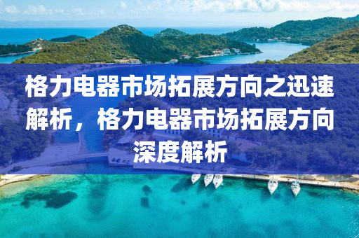 格力電器市場拓展方向之迅速解析，格力電器市場拓展方向深度解析液壓動力機械,元件制造