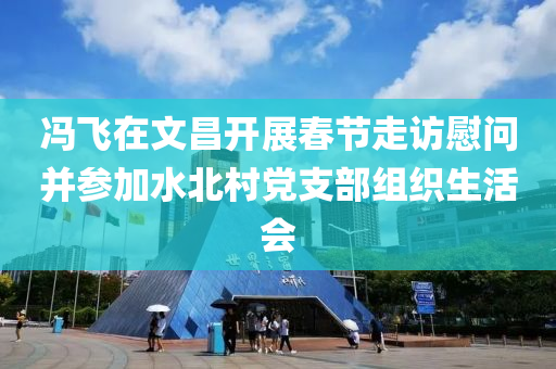 馮飛在文昌開(kāi)展春節(jié)走訪慰問(wèn)并參加水北村黨支部組織生活會(huì)液壓動(dòng)力機(jī)械,元件制造