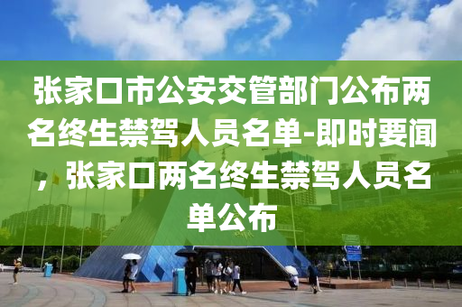 張家口市公安交管部門公布兩名終生禁駕人員名單-即時要聞，張家口兩名終生禁駕人員名單公布液壓動力機械,元件制造