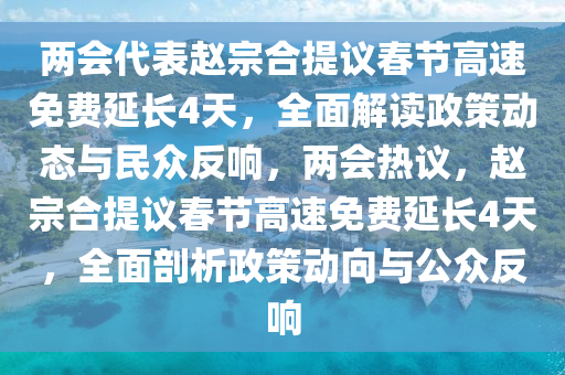 兩會代表趙宗合提議春節(jié)高速免費延長4天，全面解讀政策動態(tài)與民眾反響，兩會熱議，趙宗合提議春節(jié)高速免費延長4天，全面剖析政策動向與公眾反響液壓動力機(jī)械,元件制造