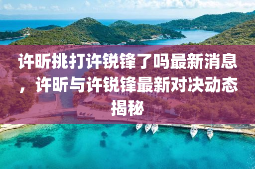 許昕挑打許銳鋒了嗎最新消息，許昕與許銳鋒最新對決動態(tài)揭秘