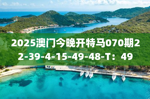 2025澳門今晚開(kāi)特馬070期22-39-4-15液壓動(dòng)力機(jī)械,元件制造-49-48-T：49