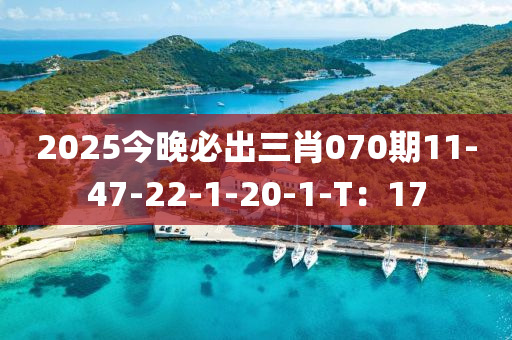 2025今晚必出三肖070期1液壓動力機械,元件制造1-47-22-1-20-1-T：17