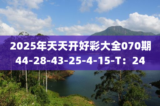 2025年天天開好彩大全070期44-28-43-25-4-15-T：24