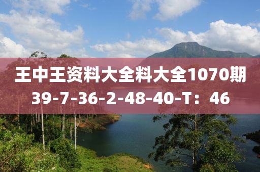 王中王資料大全料大全1070期39-7-36-2-48-40-T：46