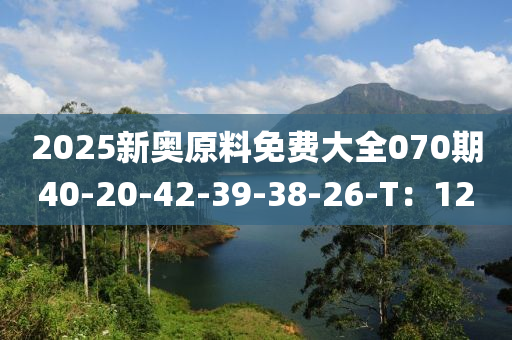 2025新奧原料免費(fèi)大全070期40-20-42-39-38-26-T：12