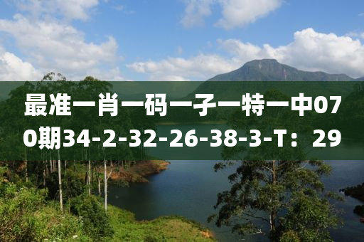 最準一肖一碼一孑一特一中070期34-2-32-26-38-3-T：29