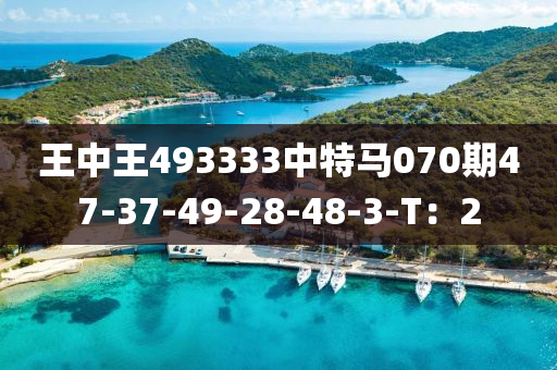 王中王493333中特馬070期47-37-49-28-48液壓動力機(jī)械,元件制造-3-T：2