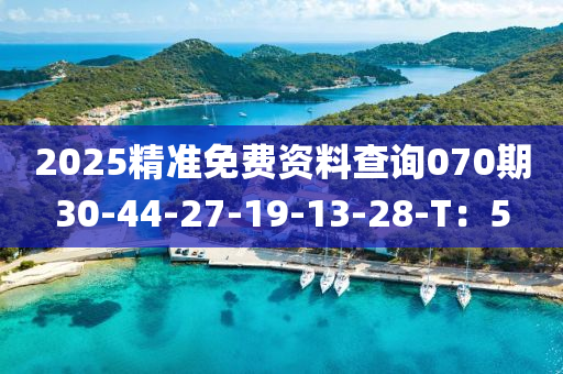 2025精準免費資料查詢070期30-44-27-19-13-28-T：5液壓動力機械,元件制造