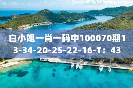 白小姐一肖一碼中100070期13-34-20-25-22-16-T：43液壓動力機械,元件制造