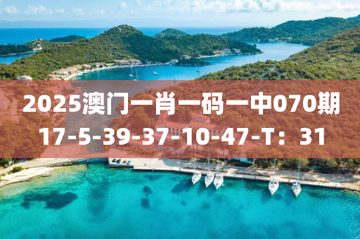 2025澳門一肖一碼一中070期17-5-39-37-液壓動力機械,元件制造10-47-T：31