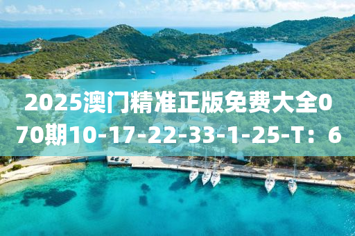 2025澳門精準正版免費大全070期10-17-22-33-1-液壓動力機械,元件制造25-T：6