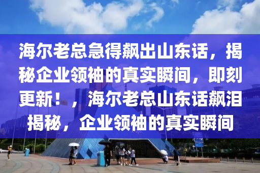 海爾老總急得飆出山東話，揭秘企業(yè)領(lǐng)袖的真實瞬間，即刻更新！，海爾老總山東話飆淚揭秘，企業(yè)領(lǐng)袖的真實瞬間液壓動力機(jī)械,元件制造