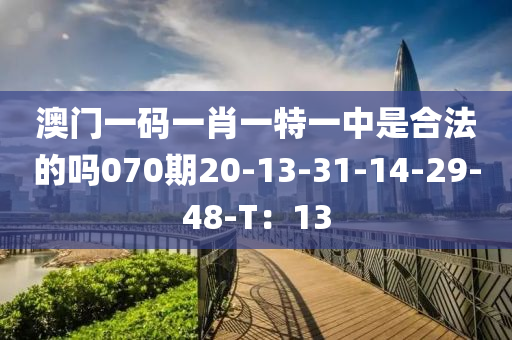 澳門(mén)一碼一肖一特一中是合法的嗎070期20-13-31-14-29-48-T：13