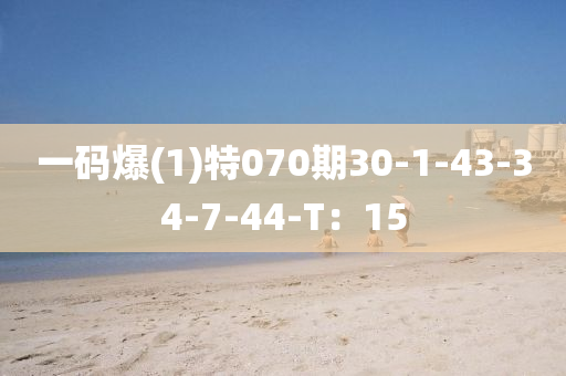 一碼爆(1)特070期30-1-43-34-7-44液壓動(dòng)力機(jī)械,元件制造-T：15