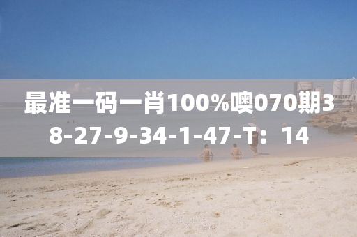 最準一碼一肖100%噢070期38-27-9-34-1-47-T：14